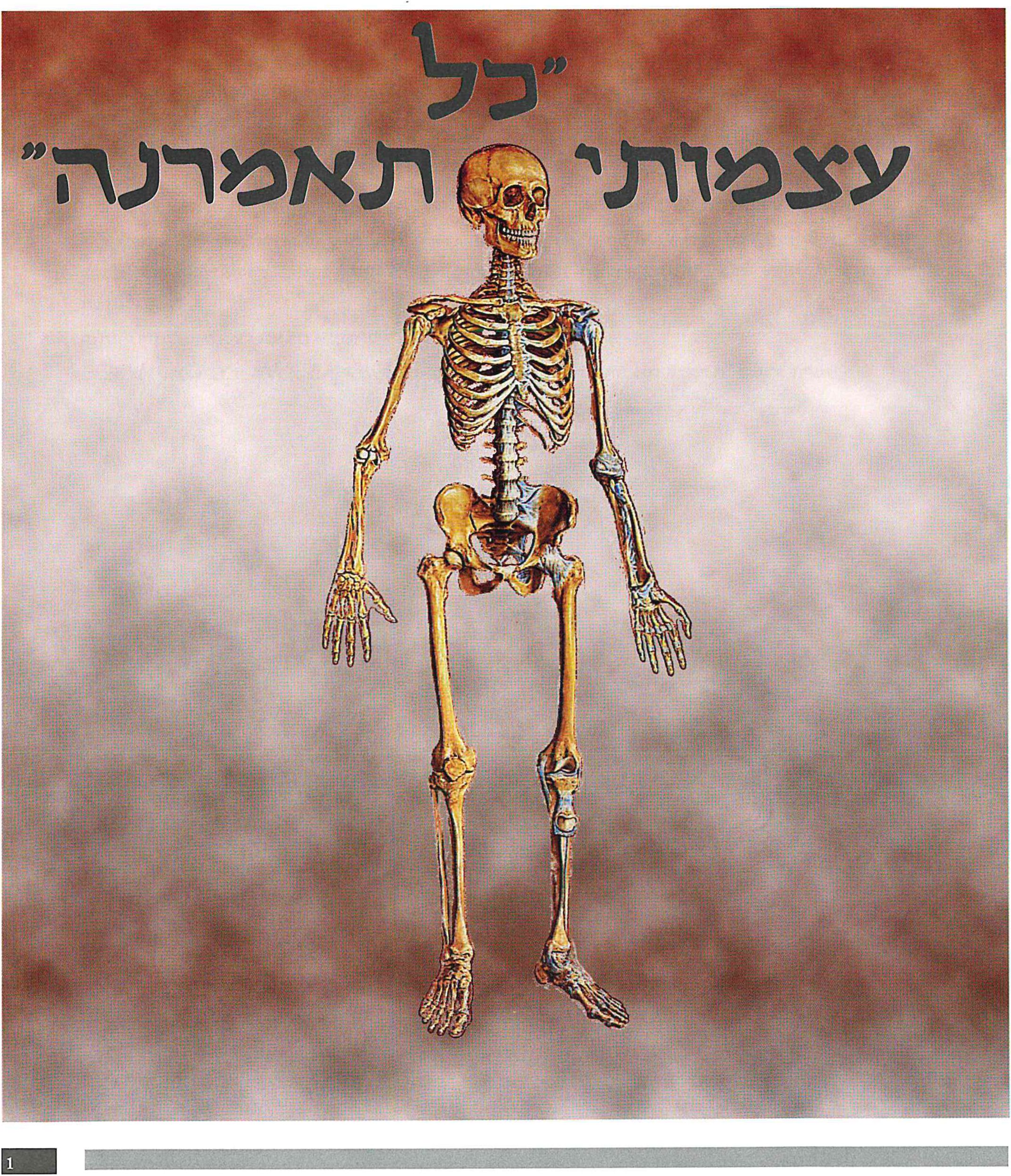 שלד